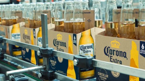Corona Extra запустила в производство экологичную упаковку из ячменя
